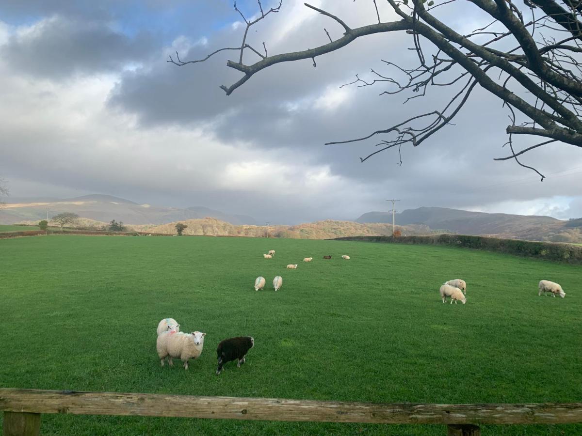 Roses Cottage - Near Scafell Comfy Modern Idyllic Santon Bridge 외부 사진